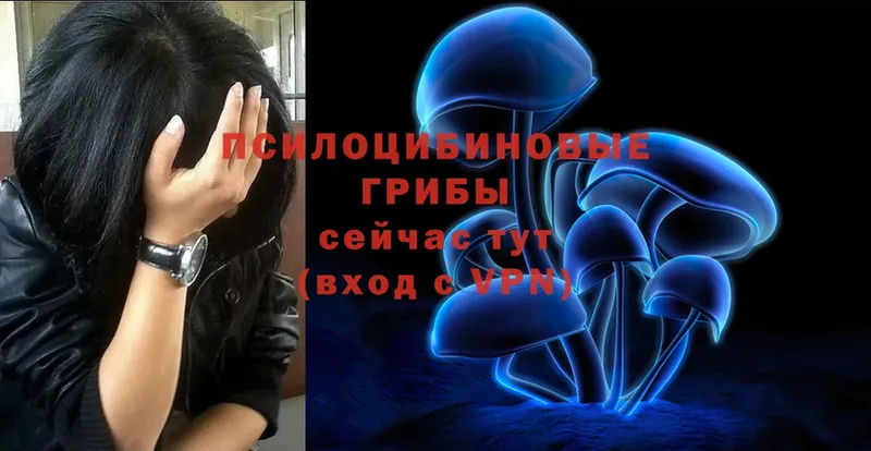 Галлюциногенные грибы Psilocybe Грязи